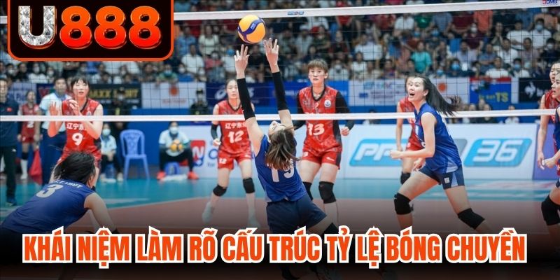 Khái niệm làm rõ cấu trúc tỷ lệ bóng chuyền