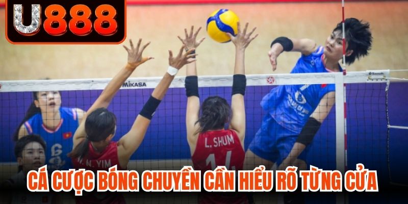 Cá cược bóng chuyền cần hiểu rõ từng cửa