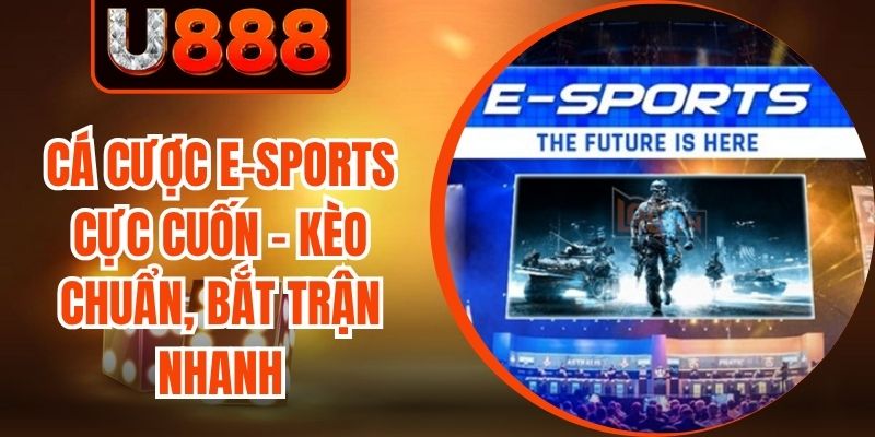 Cá Cược E-Sports Cực Cuốn - Kèo Chuẩn, Bắt Trận Nhanh